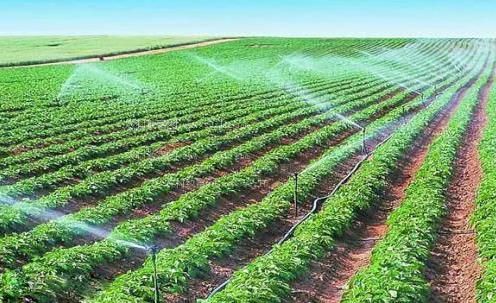 艹屄了农田高 效节水灌溉